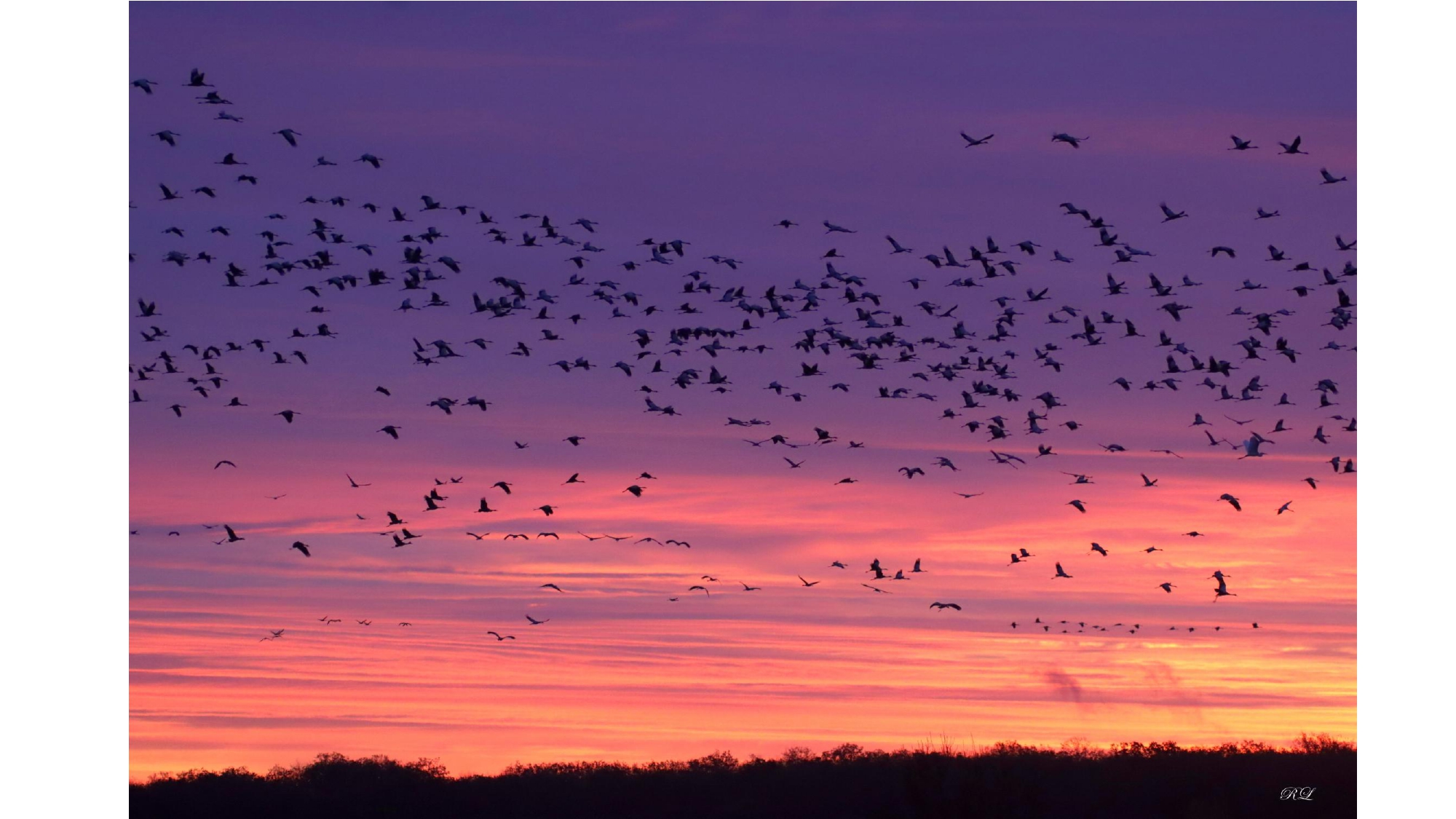 QUAND LES GRUES CENDREES_page-0040.jpg (805 KB)