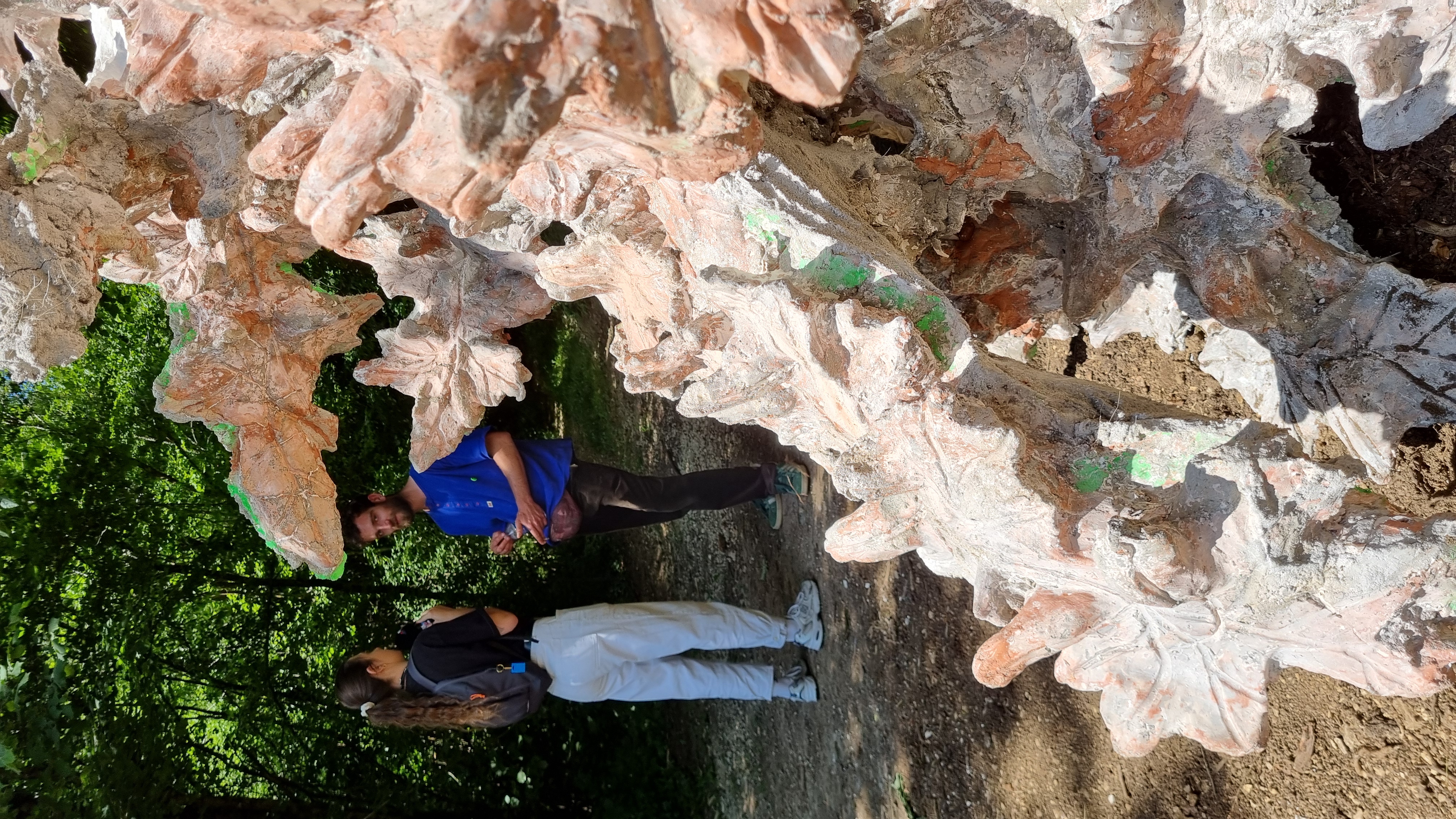 20250712_150222.jpg (4.06 MB)