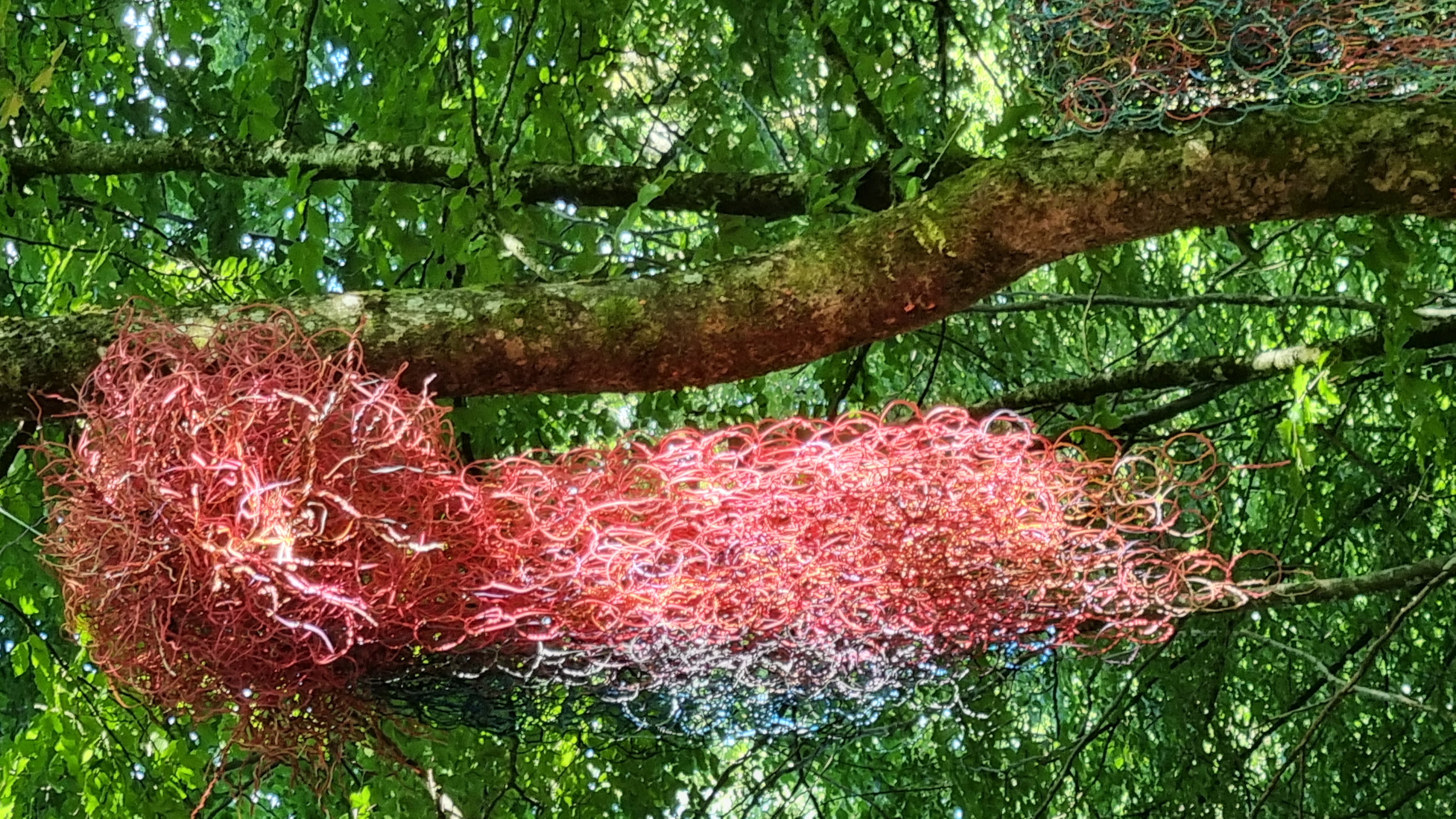 20250712_180527.jpg (2.81 MB)