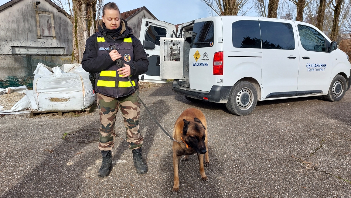 20260121_120301.jpg (713 KB)