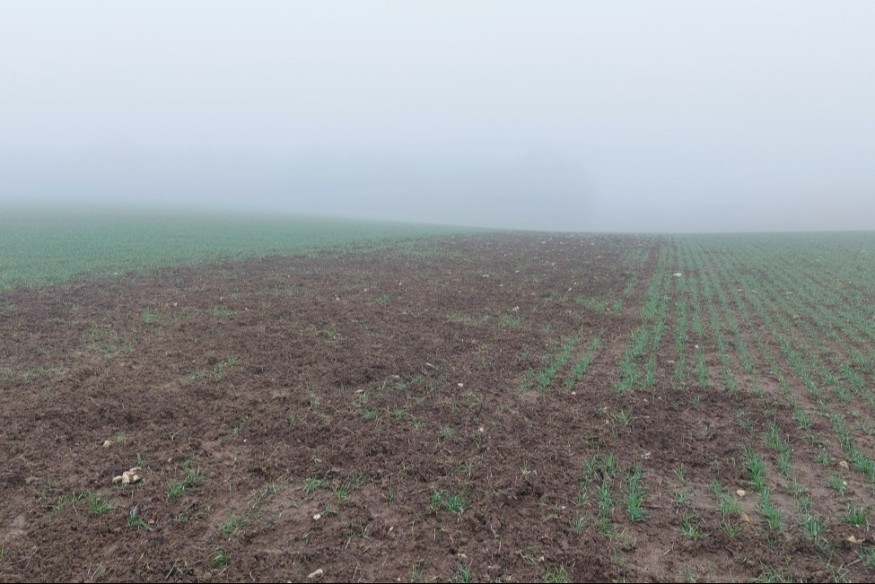 Dégâts de gibier : le préfet veut « libérer la chasse »